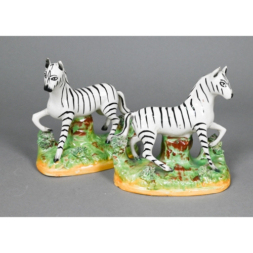 395 - A pair of 19th century Staffordshire pottery zebras, 13 cm high