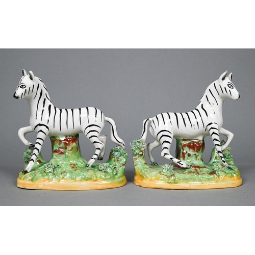 395 - A pair of 19th century Staffordshire pottery zebras, 13 cm high