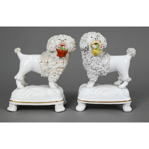 398 - Pair of Staffordshire pottery dalmatians, 13 cm high; a pair of poodles holding baskets of flowers i... 