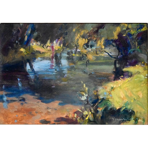 517 - Trevor Chamberlain ROI RSMA (b 1933) - 'Under the trees, River Rib', oil on board, signed lower righ... 