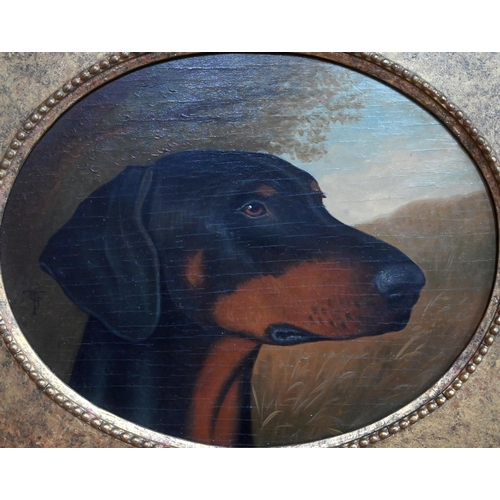 564 - 19th century English school - Study of a black and tan hound, oil on panel, signed with monogram, 19... 