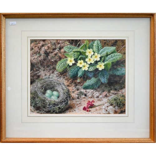 621 - J Sherrin (1819-1896) - A pair - Primrose and bird's nest with blue eggs and Basket of roses, both s... 