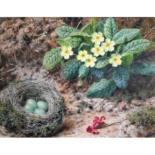 621 - J Sherrin (1819-1896) - A pair - Primrose and bird's nest with blue eggs and Basket of roses, both s... 