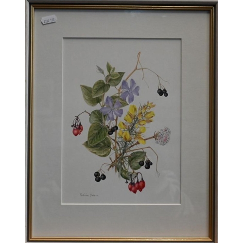 622 - Patricia Dale - Four botanical watercolour studies, 'The Edge of Winter', 'Clematis W E Gladstone', ... 