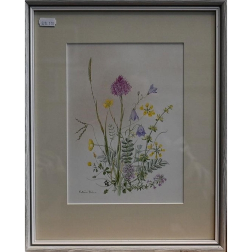 622 - Patricia Dale - Four botanical watercolour studies, 'The Edge of Winter', 'Clematis W E Gladstone', ... 