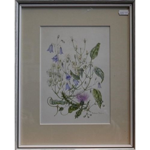 622 - Patricia Dale - Four botanical watercolour studies, 'The Edge of Winter', 'Clematis W E Gladstone', ... 