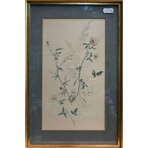 622 - Patricia Dale - Four botanical watercolour studies, 'The Edge of Winter', 'Clematis W E Gladstone', ... 