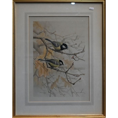 627 - Simon Calburn (1938-1992) - Great tits on branches, watercolour, signed and dated 1972, 40 x 28 cm