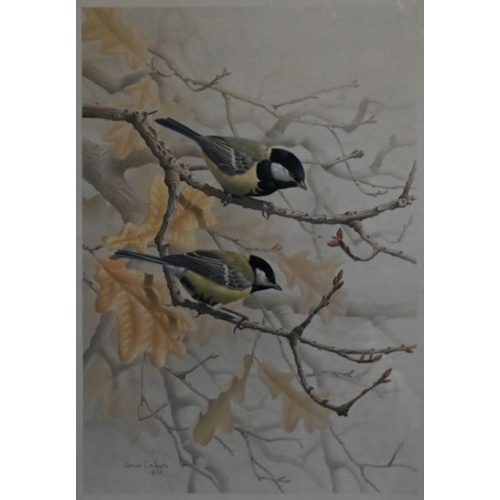 627 - Simon Calburn (1938-1992) - Great tits on branches, watercolour, signed and dated 1972, 40 x 28 cm