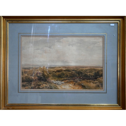 500 - Thomas Collier (1840-1891) - 'Heathland with Drover, Sheep and Cattle', watercolour, signed lower ri... 