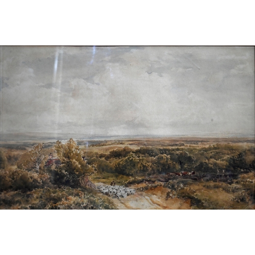 500 - Thomas Collier (1840-1891) - 'Heathland with Drover, Sheep and Cattle', watercolour, signed lower ri... 