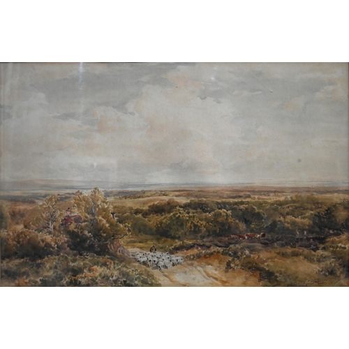 500 - Thomas Collier (1840-1891) - 'Heathland with Drover, Sheep and Cattle', watercolour, signed lower ri... 