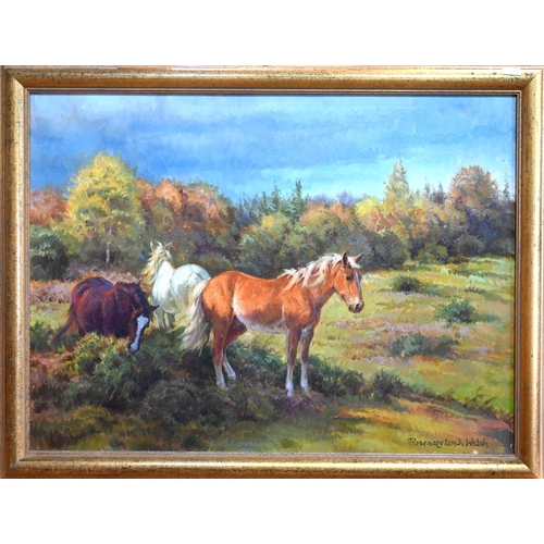 542 - Rosemary Sarah Welsh (b 1946) - Ponies in a paddock, oil on canvas, signed lower right, 44 x 60 cm