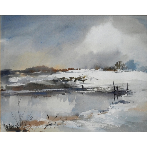 605 - Peter Toms (b 1940) - 'Ice on the pond', watercolour, signed lower left, 22.5 x 28 cm