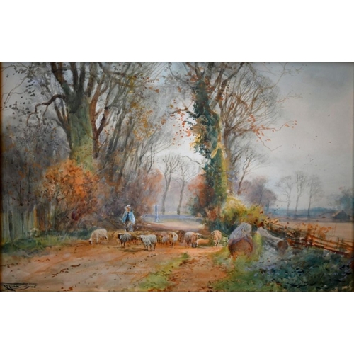 624 - H C Fox? - Flock of sheep on a country lane, watercolour, signed and dated 1906 lower left, 35 x 52 ... 