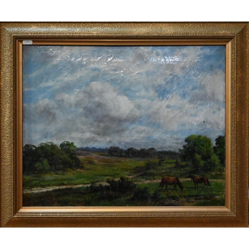 637 - Edward John Hoy - New Forest landscape, oil on canvas, signed and dated 1944 lower right, 40 x 50 cm