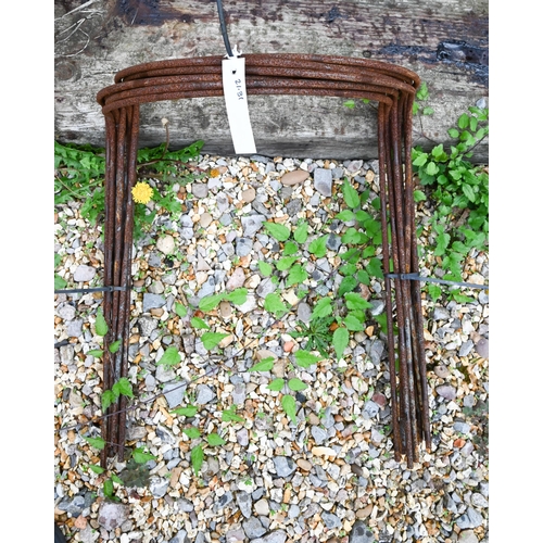 67 - Ten small weathered steel garden frames (10)