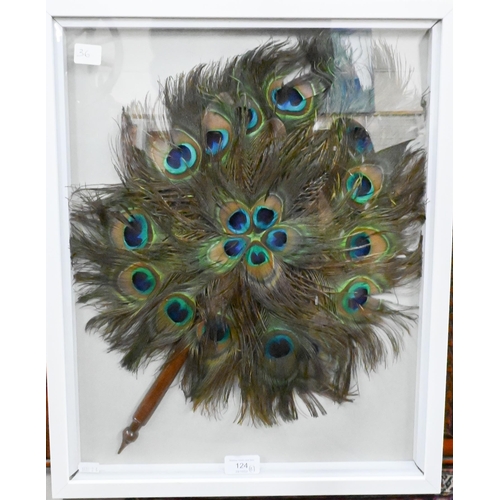 124 - An Indian peacock-feather fan with turned wood handle, 53 x 37 cm, in glazed frame to/w a printed sa... 