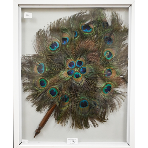 124 - An Indian peacock-feather fan with turned wood handle, 53 x 37 cm, in glazed frame to/w a printed sa... 