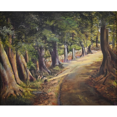 336 - M W Blunt - Two woodland views, oil on canvas, signed to verso, 49 x 60 cm (2)