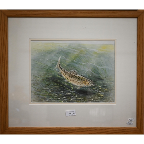 341 - Dick Twinney - 'Rippling Waters', brown trout on river bed, watercolour, signed, 23.5 x 32 cm to/w A... 