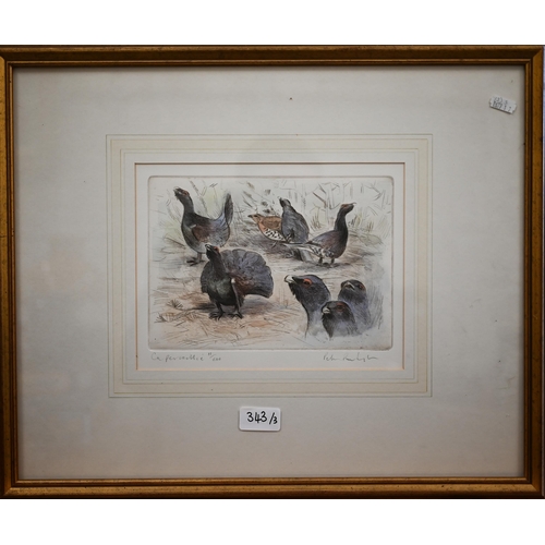 343 - After J C Harrison - 'Curling Cock', print, pencil signed, pub Tryon Gallery, 48 x 36 cm; and Peter ... 