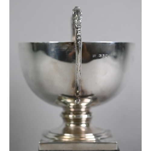 153 - Silver trophy cup with twin leopards' head scrolling handles and engraved with the City of Wincheste... 