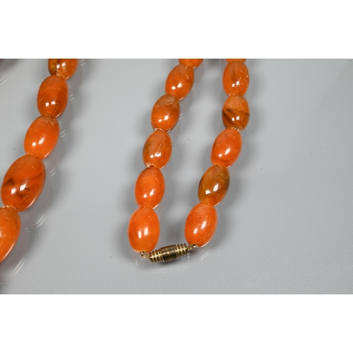 230 - A graduated row of amber beads, 3 x 2 cm the largest bead, 1 x 0.7 cm the smallest, approx 64g all i... 