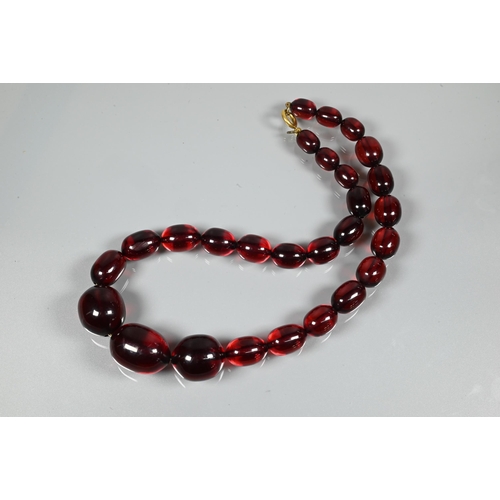 239 - A row of graduated cherry amber beads, approx 72.6g, 2.5 x 2 cm the largest bead