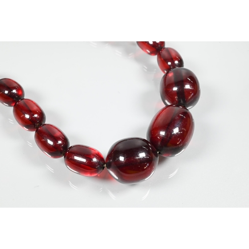 239 - A row of graduated cherry amber beads, approx 72.6g, 2.5 x 2 cm the largest bead