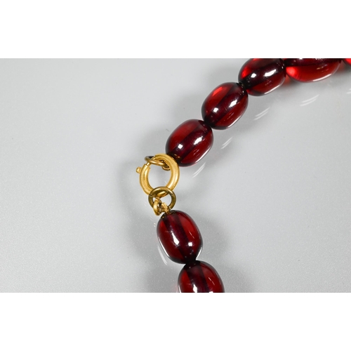 239 - A row of graduated cherry amber beads, approx 72.6g, 2.5 x 2 cm the largest bead