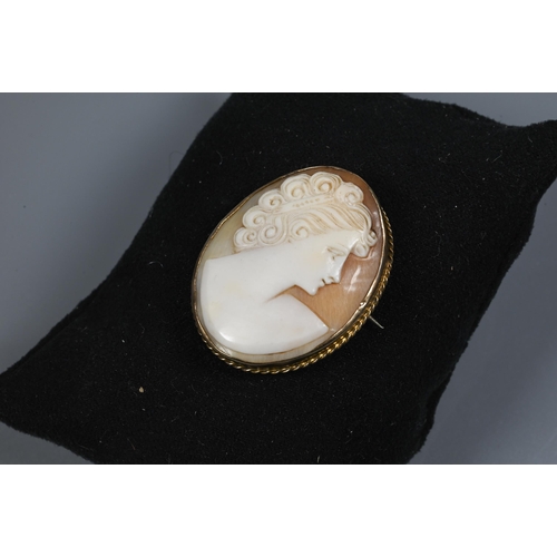 269 - An oval shell cameo brooch featuring lady with elaborate hairstyle, in yellow metal rope edge mount ... 