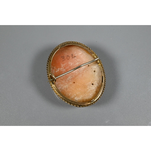 269 - An oval shell cameo brooch featuring lady with elaborate hairstyle, in yellow metal rope edge mount ... 