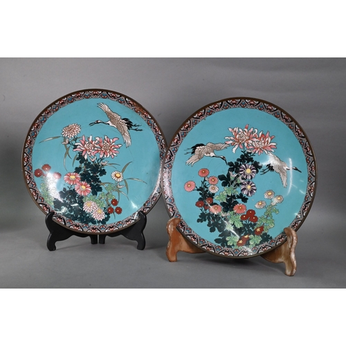 472 - A pair of 19th century Japanese cloisonne chargers, decorated in polychrome enamels with red red-cro... 