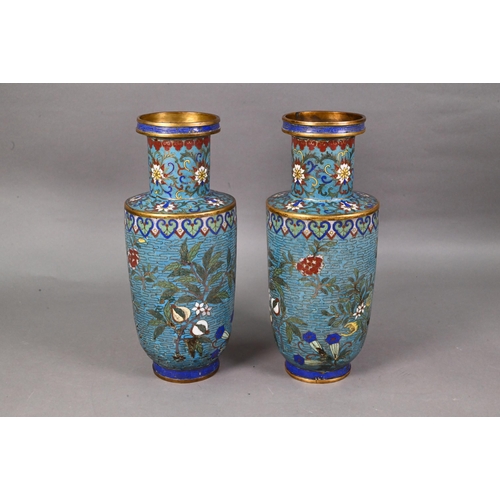 478 - A pair of 19th century Chinese cloisonne on brass rouleau vases decorated in polychrome enamels with... 