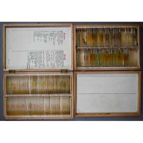 1228 - Seven cases of antique and later prepared microscrope slides etc