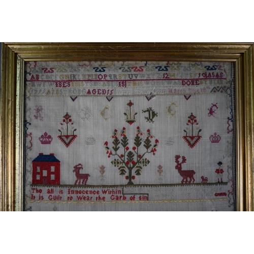 1243 - George III petit point sampler by Ann Strong aged 15/Ann Thompson 1799, worked with alphabets, aphor... 