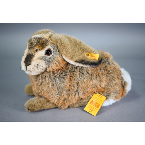 1258 - Boxed Steiff Mummel Hare 32 cm long to/w a Steiff Millennium Champagne Mohair teddy 30 cm - unboxed,... 