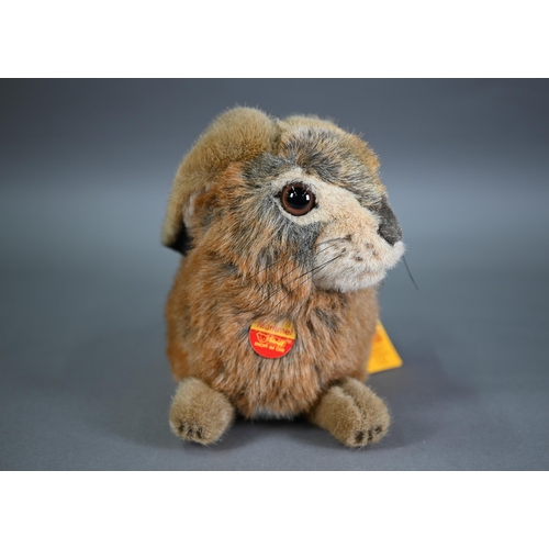 1258 - Boxed Steiff Mummel Hare 32 cm long to/w a Steiff Millennium Champagne Mohair teddy 30 cm - unboxed,... 