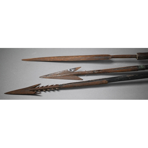 1270 - Four tribal spears with iron heads to/w an arrow (5)