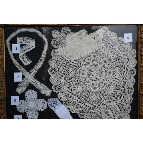 1285 - A collection of various antique lace examples to include collars, cuffs, edgings etc, framed, 148 x ... 