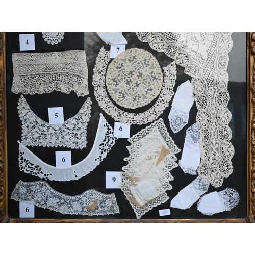 1285 - A collection of various antique lace examples to include collars, cuffs, edgings etc, framed, 148 x ... 