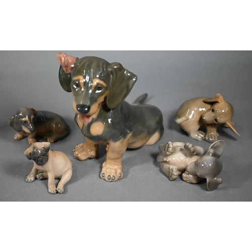 575 - Large Royal Copenhagen Dachshund puppy 856 to/w four smaller puppies, 3140/3169/1407/1408; lot also ... 