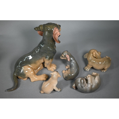 575 - Large Royal Copenhagen Dachshund puppy 856 to/w four smaller puppies, 3140/3169/1407/1408; lot also ... 