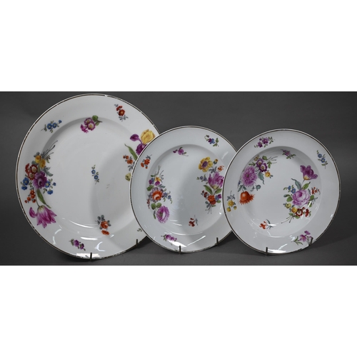 579 - Quantity of Dresden and Meissen outside-decorated dinner ware, with floral sprays, comprising; a sou... 