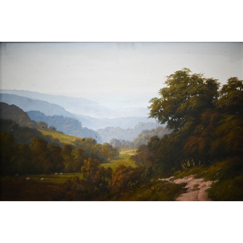 670 - Olga Garner (b 1943) - Three oil on canvas landscapes - a pair of valley landscapes, 48 x 75 cm and ... 