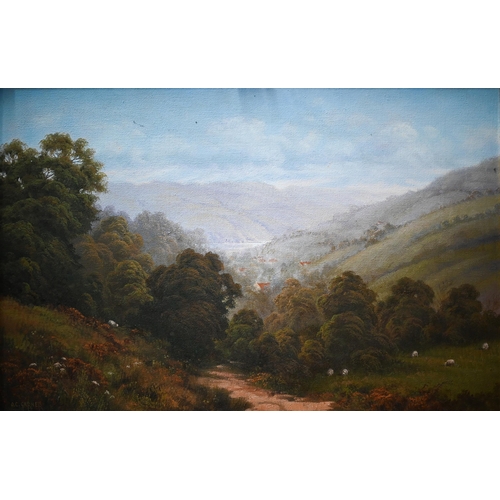 670 - Olga Garner (b 1943) - Three oil on canvas landscapes - a pair of valley landscapes, 48 x 75 cm and ... 