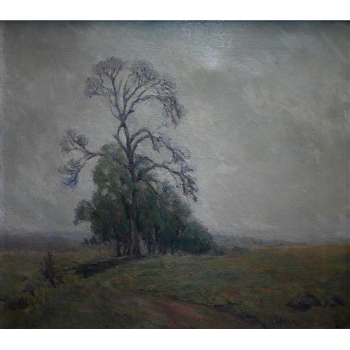 694 - Lily Osman Adams (1865-1945) - Landscape with tree, oil on canvas, signed lower right, 39 x 44 cm&nb... 