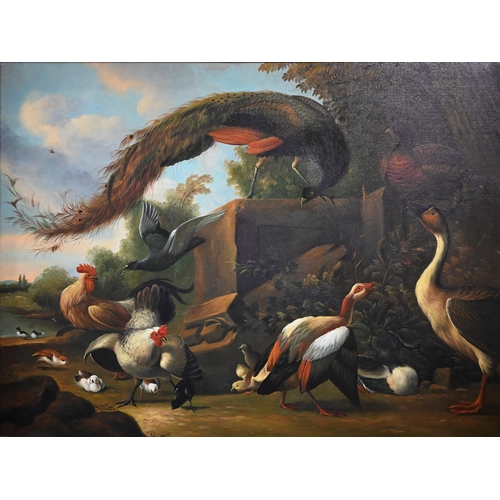 696 - Manner of Jacob Bogdani - A modern study of an assembly of exotic birds, oil on canvas, 74 x 100 cm