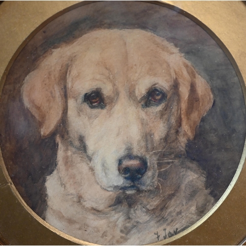 698 - Florence Jay (fl 1905-1920) - A trio of watercolour studies of labradors, 14.5 cm diam (3)